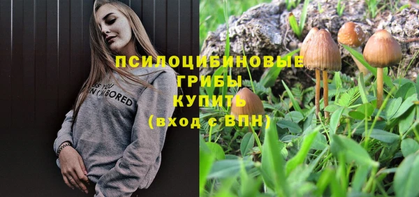 хмурый Абинск