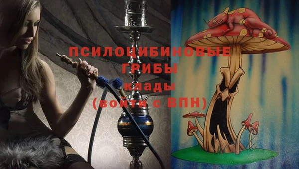 дурь Абдулино