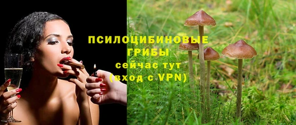 дурь Абдулино