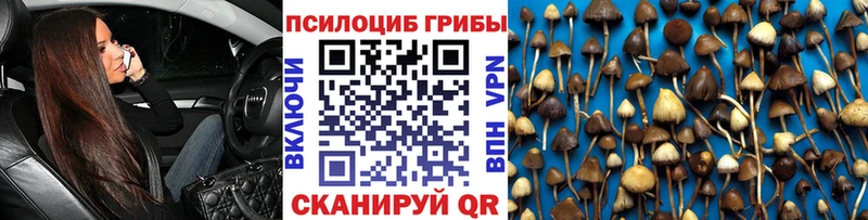 купить  сайты  Барнаул  кракен ТОР  Галлюциногенные грибы мицелий 
